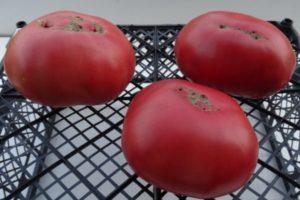 Description de la variété de tomates Big Dipper et son rendement