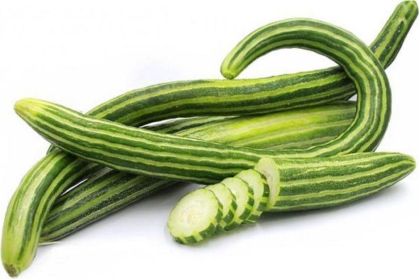 characteristic of cucumber