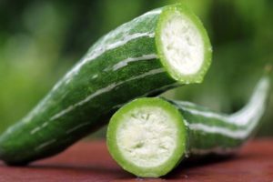 Features of growing Armenian cucumber, its description, planting and care