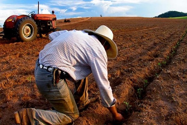 homme sur le terrain