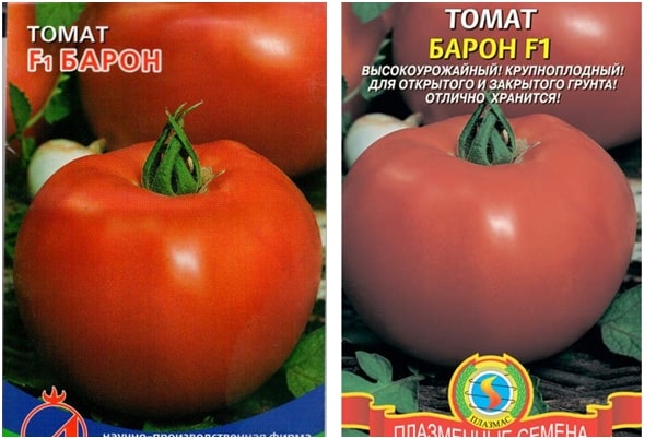 baron de graines de tomates