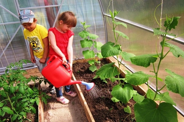 les enfants travaillent