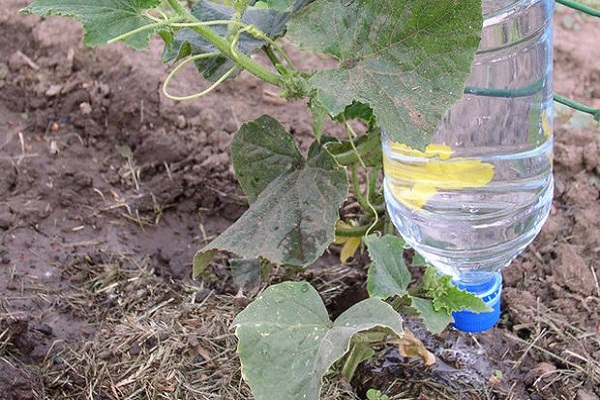 botella de agua