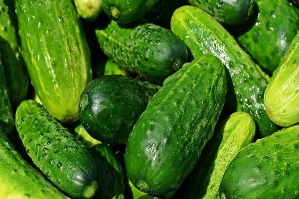 bright cucumbers