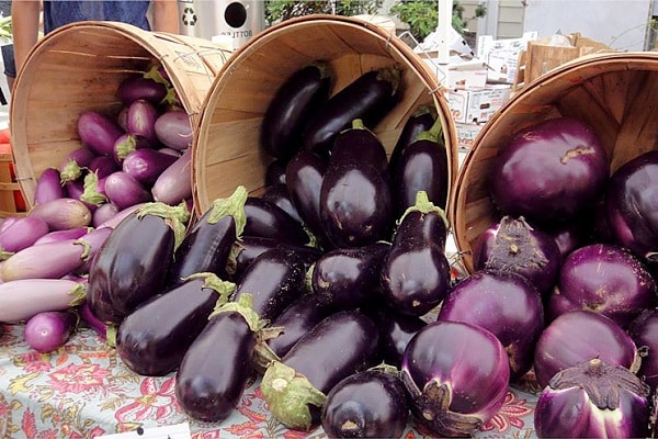 l'aubergine au détriment