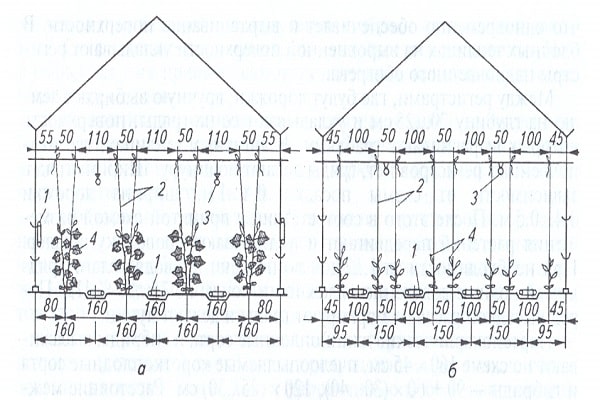 dibujos de jardín