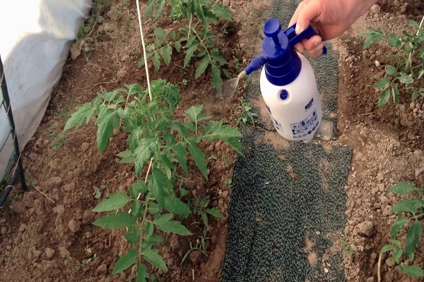  fertilizando el suelo