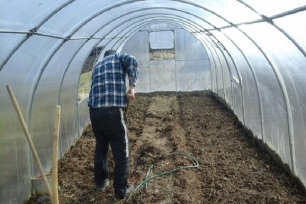 preparar la mezcla de tierra