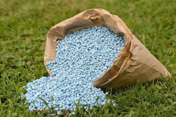 nitrogen fertilizers