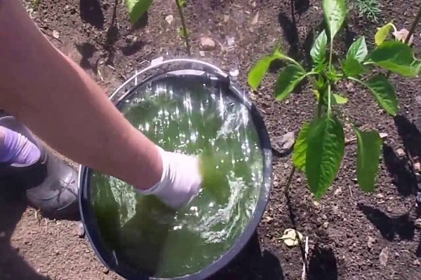 alimentación con pimienta