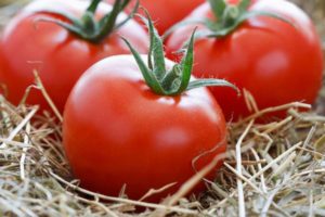 Les meilleures variétés de tomates hautes pour les sols ouverts et les caractéristiques de culture