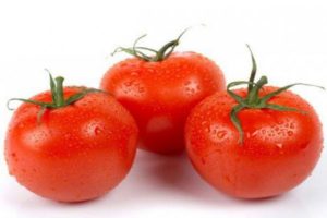 Ciri-ciri dan penerangan mengenai varieti tomato Impian tukang kebun, hasilnya