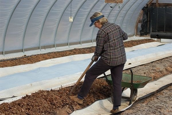 soil in the greenhouse