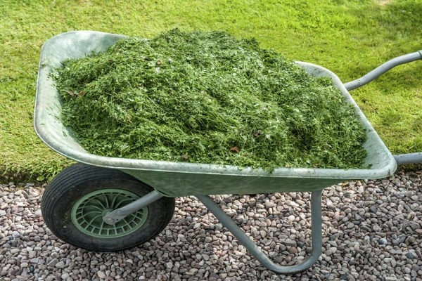 wheelbarrow of grass