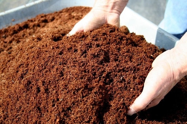 peat and compost