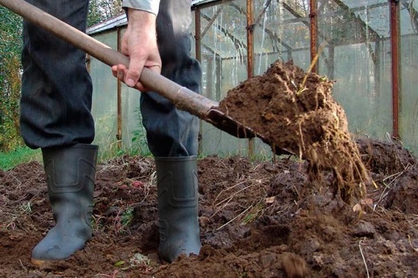 fertilizantes para verduras