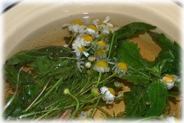 herbal infusion