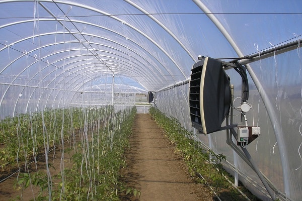 convectors in the greenhouse