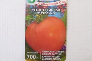 Descripción de la variedad de tomate Nonna m, su rendimiento y cultivo.