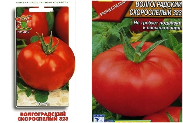 biji tomato Volgograd pematangan awal 323