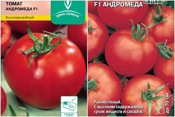 graines de tomates Andromeda F1