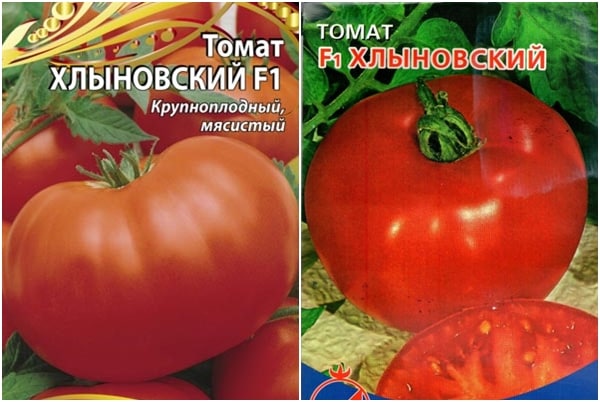 biji tomato Khlynovsky F1