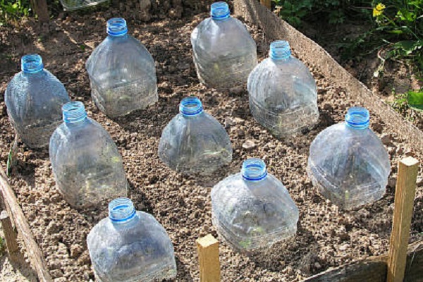 botellas de congelación