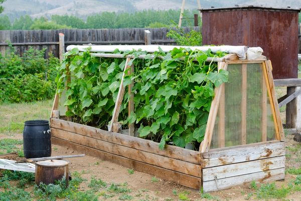 building a greenhouse