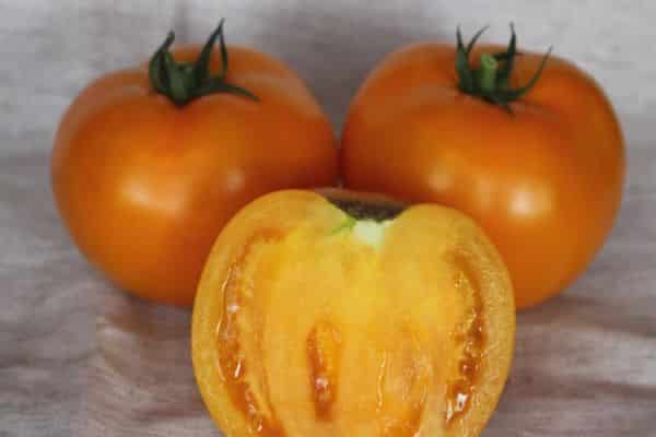 Tomates amarillos