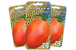 Description of the tomato variety Altayechka and its characteristics