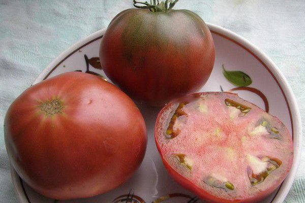 Ripe tomatoes