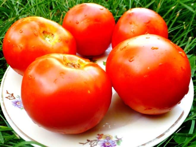 Tomate blanche versant sur une assiette