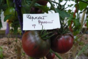 Description de la variété de tomate noire russe, rendement et culture