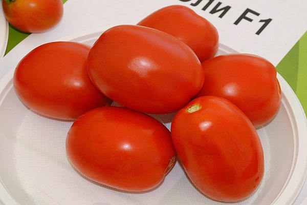 tomato cili