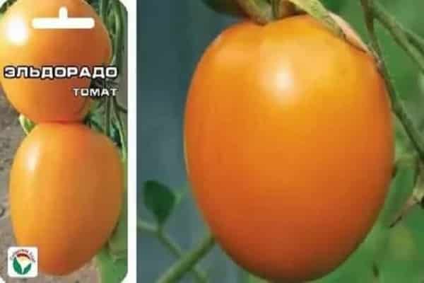 tomato berbentuk hati