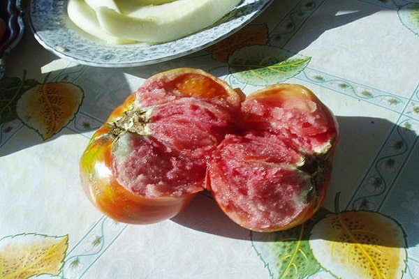 tomate déchirée