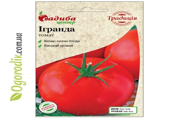 tomato igranda