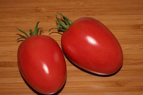 Tomato merah