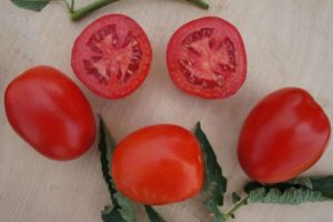 Description de la variété de tomate Indio et de ses caractéristiques