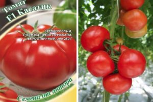 Description of the tomato variety Kasatik and the features of its cultivation