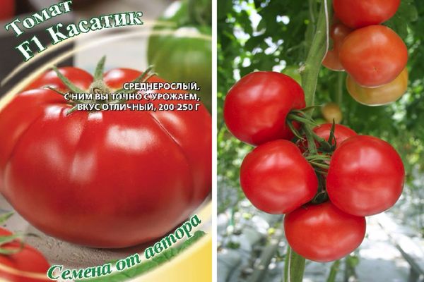 Tomato hybrids