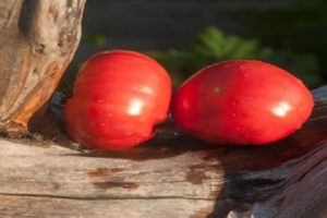 Description of the tomato variety Handsome meaty and its characteristics