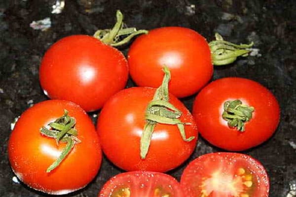 Description de la variété de tomate Glacier et caractéristiques