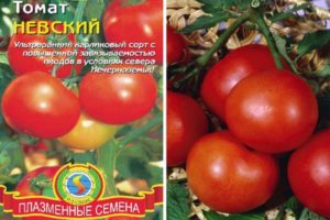 Descripción de la variedad de tomate Nevsky, sus características y cuidados.