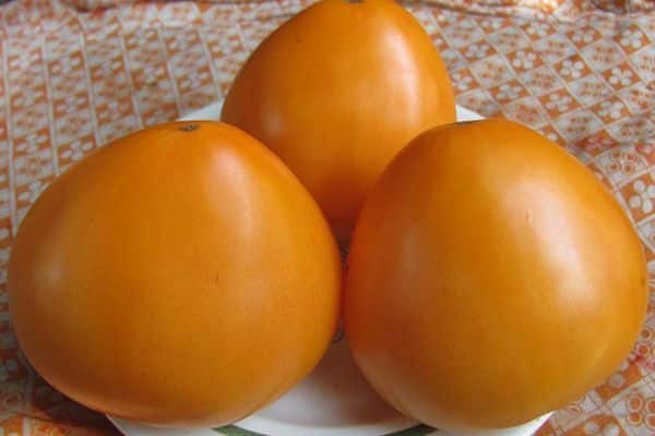 Tomates sur une assiette