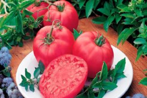 Description of the tomato variety Pink Dream and its characteristics