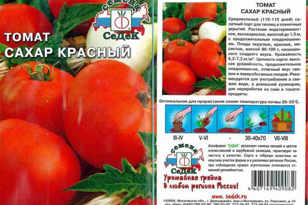 Graines de tomates