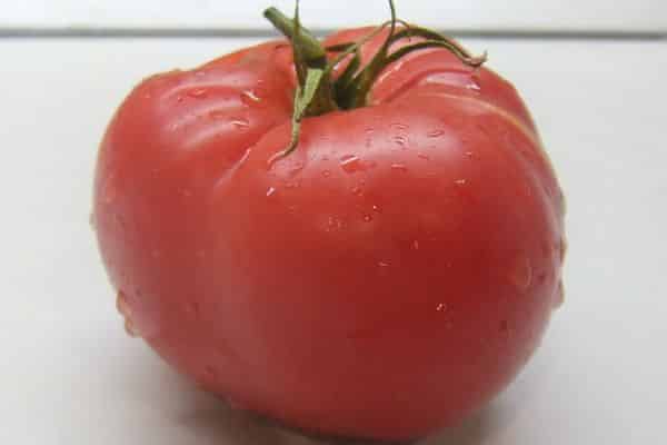 Tomate siberiano