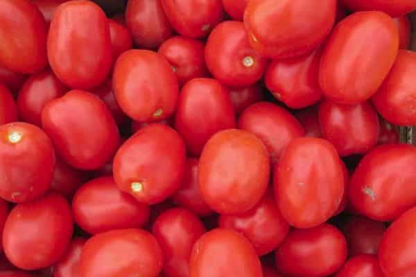 Ripe tomatoes