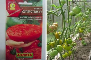 Description de la variété de tomates Super Steak, de son rendement et de sa culture